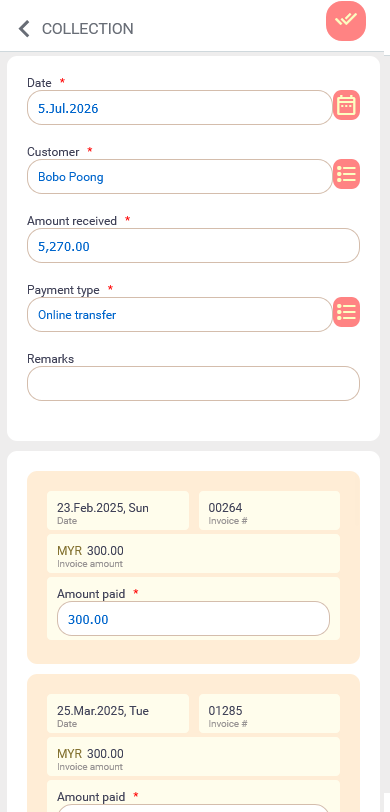 Key in the payment details